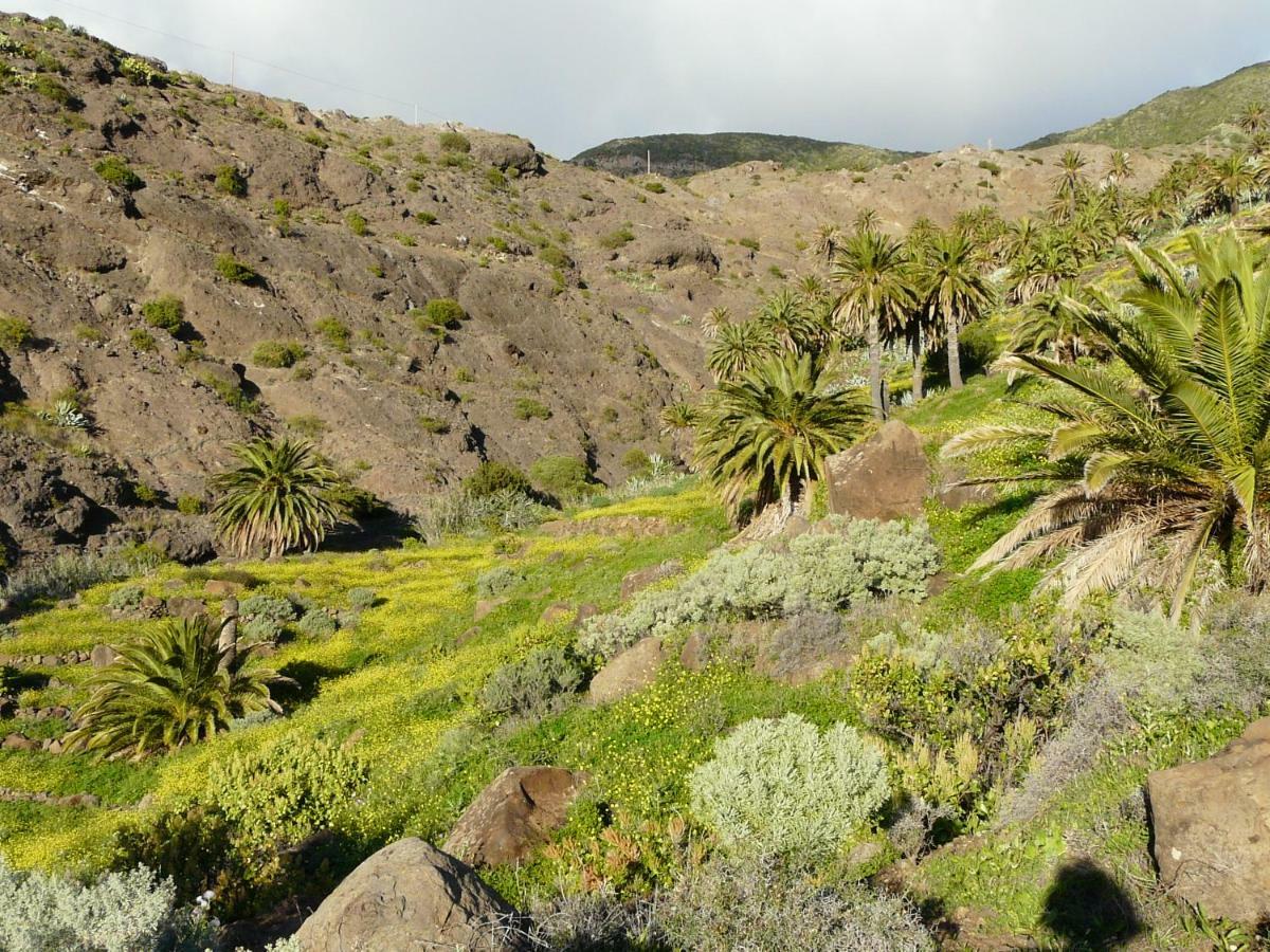 El Pirguan Holiday House, Your Oasis In La Gomera Vallehermoso Buitenkant foto