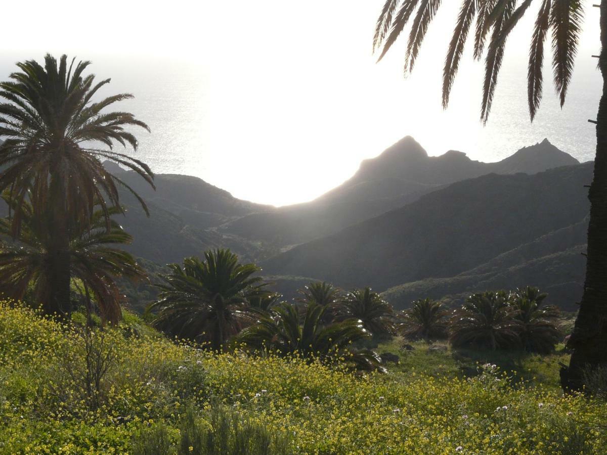 El Pirguan Holiday House, Your Oasis In La Gomera Vallehermoso Buitenkant foto