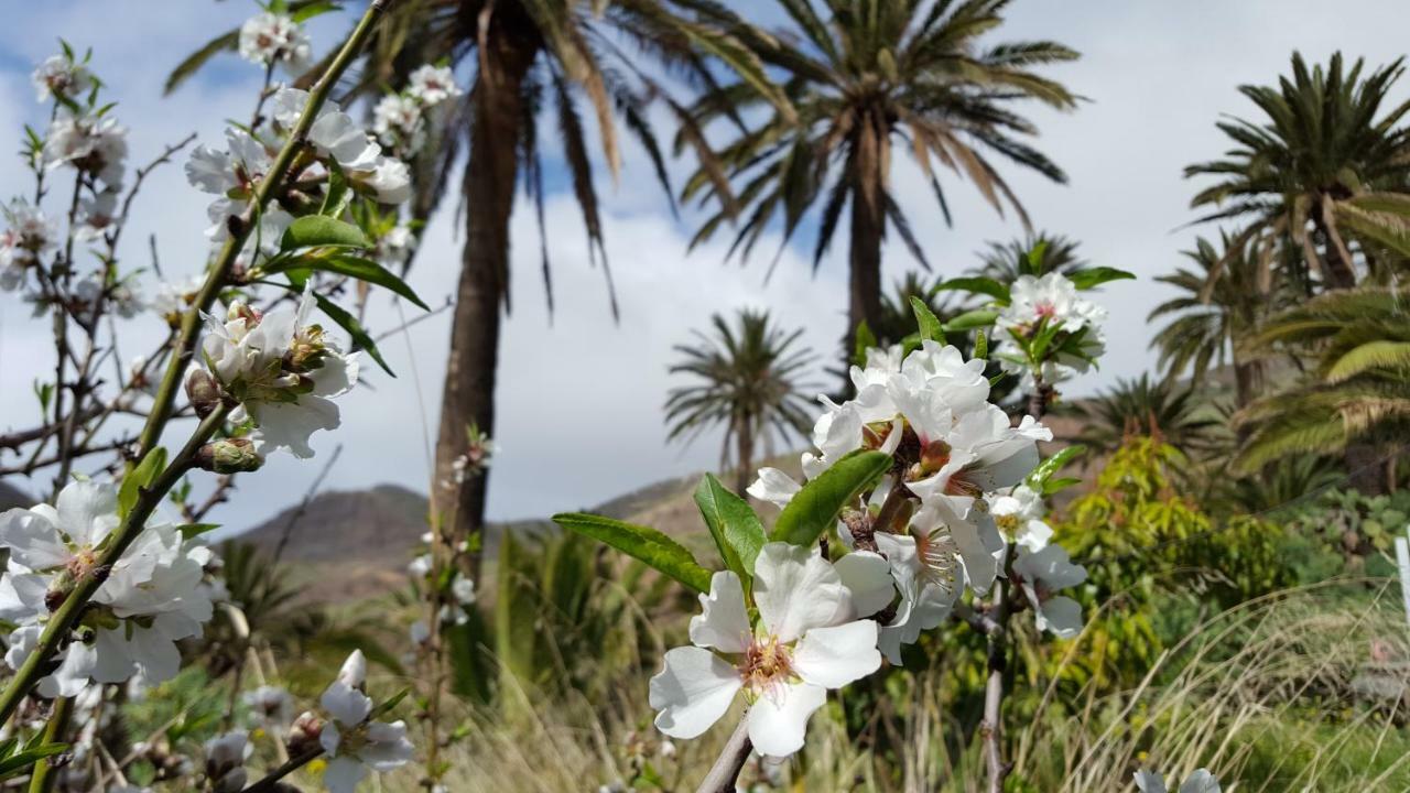 El Pirguan Holiday House, Your Oasis In La Gomera Vallehermoso Buitenkant foto