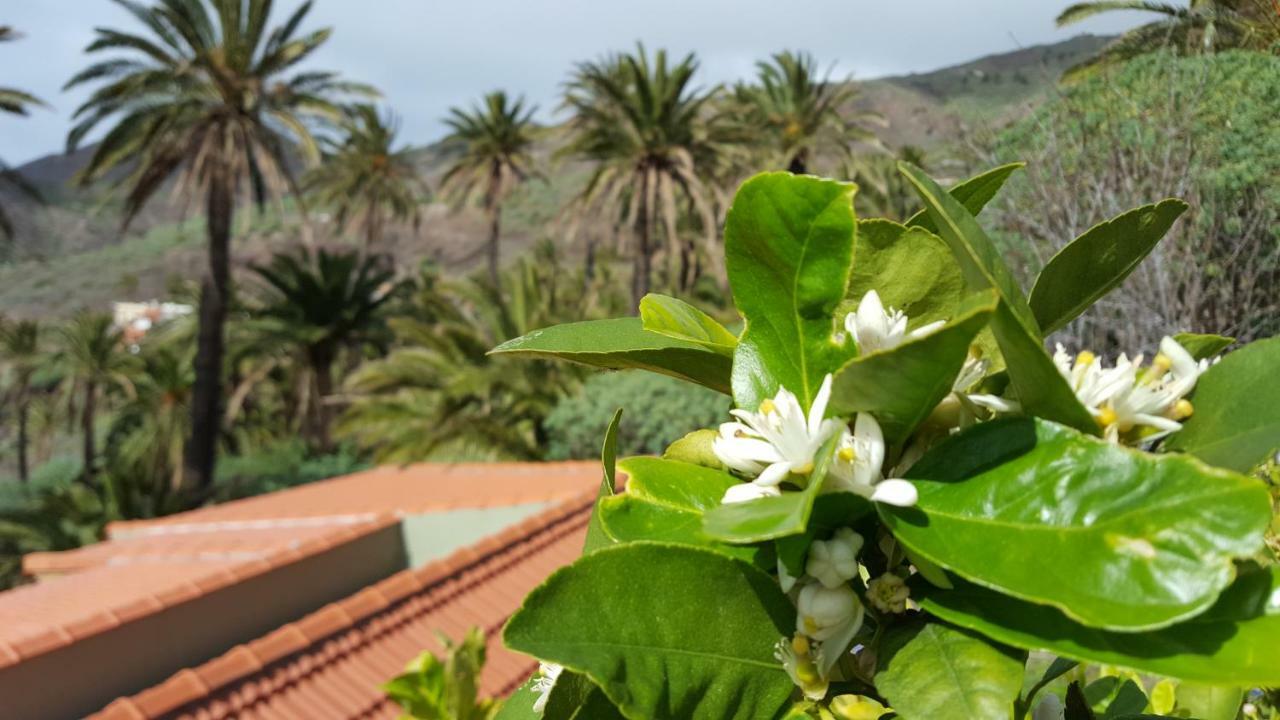 El Pirguan Holiday House, Your Oasis In La Gomera Vallehermoso Buitenkant foto
