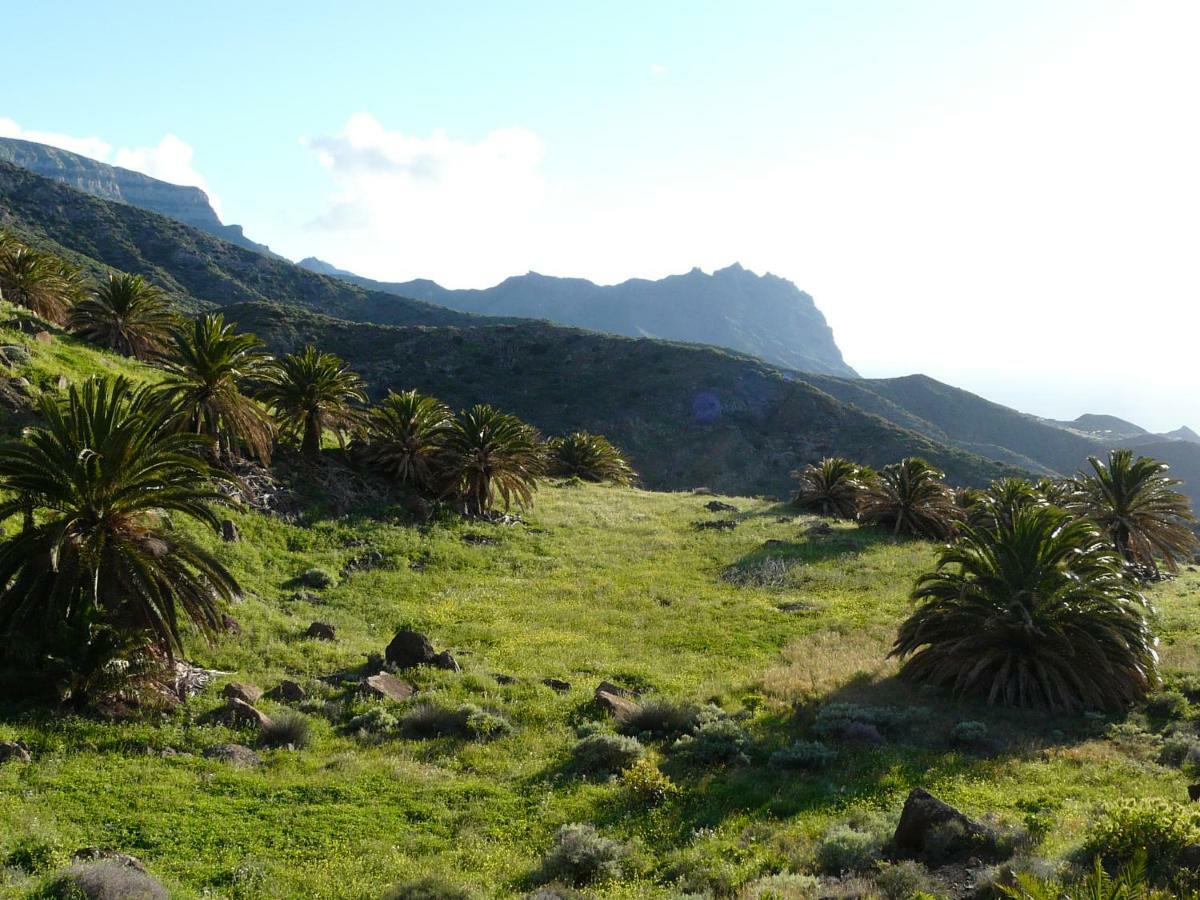 El Pirguan Holiday House, Your Oasis In La Gomera Vallehermoso Buitenkant foto