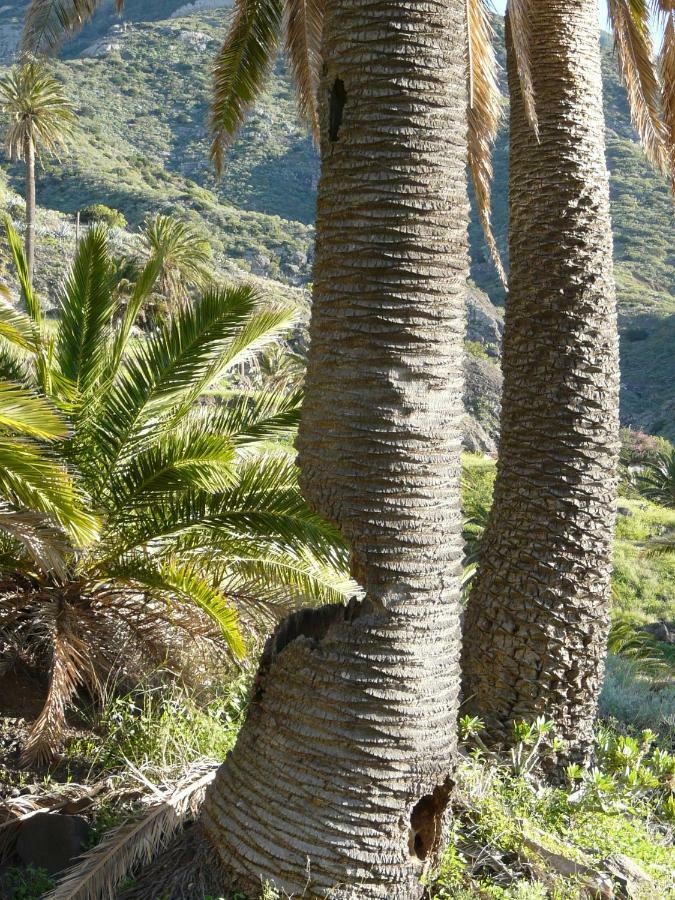 El Pirguan Holiday House, Your Oasis In La Gomera Vallehermoso Buitenkant foto