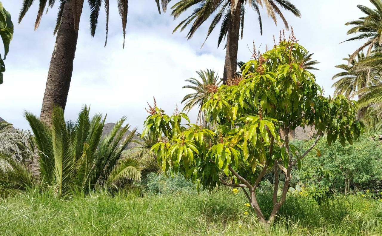 El Pirguan Holiday House, Your Oasis In La Gomera Vallehermoso Buitenkant foto