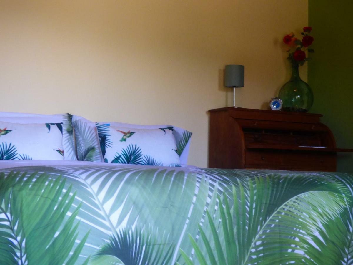 El Pirguan Holiday House, Your Oasis In La Gomera Vallehermoso Buitenkant foto